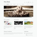 Image for Image for SuperClean - WordPress Theme