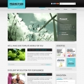 Image for Image for PromoTheme - WordPress Theme