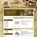 Image for Image for GrungeSand - WordPress Theme