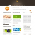 Image for Image for Deluxxo - WordPress Theme