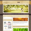 Image for Image for WoodenHouse - CSS Template