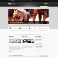 Image for Image for BlackCorp - WordPress Template